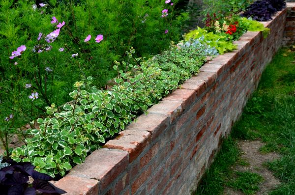 Brick Garden Edging